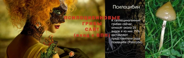 метамфетамин Ветлуга
