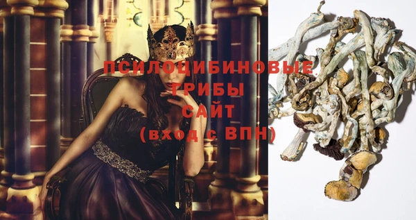 героин Дмитриев