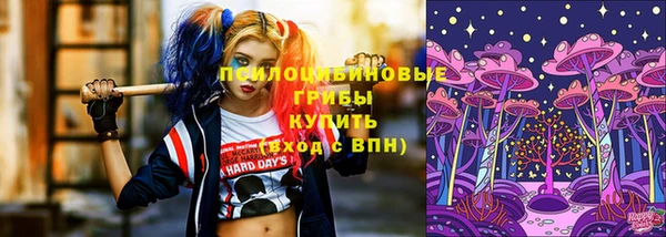 дмт Дмитров