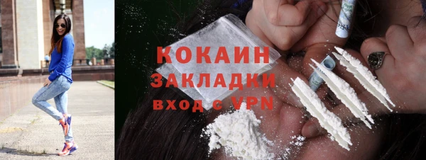 дмт Дмитров