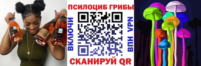 Галлюциногенные грибы ЛСД  дарк нет как зайти  Ефремов 