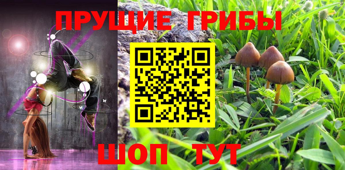 Галлюциногенные грибы GOLDEN TEACHER Ефремов